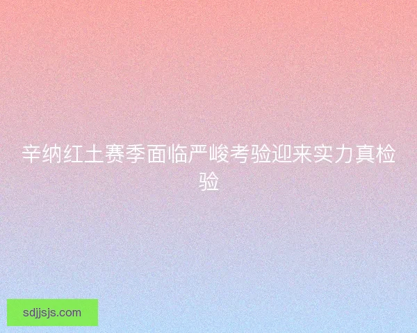 辛纳红土赛季面临严峻考验迎来实力真检验