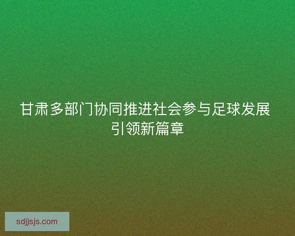 甘肃多部门协同推进社会参与足球发展 引领新篇章
