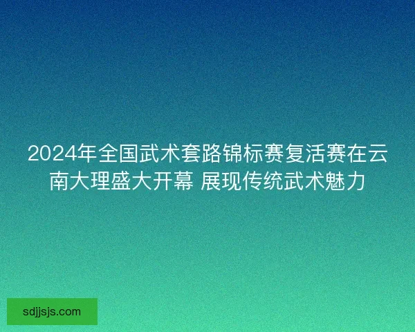 2024年全国武术套路锦标赛复活赛在云南大理盛大开幕 展现传统武术魅力