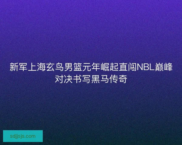 新军上海玄鸟男篮元年崛起直闯NBL巅峰对决书写黑马传奇